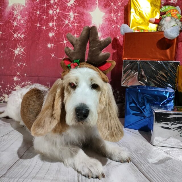 ¡Arumeiriños felices pasando la Navidad en familia!