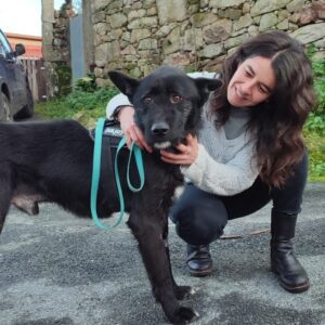 ¡Lolo, adoptado!